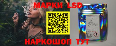 гашик Краснодар