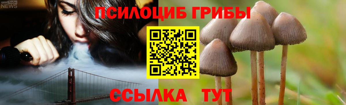 Зеленодольск  Псилоцибиновые грибы Cubensis  Вход с VPN 